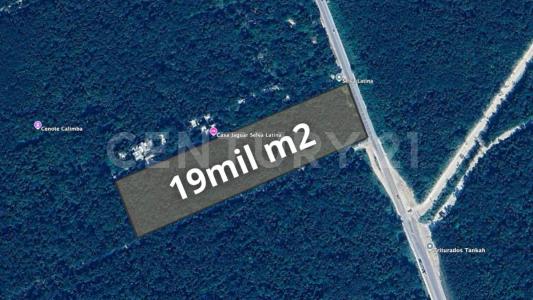 Tulum, Quintana Roo 77780, Mexico