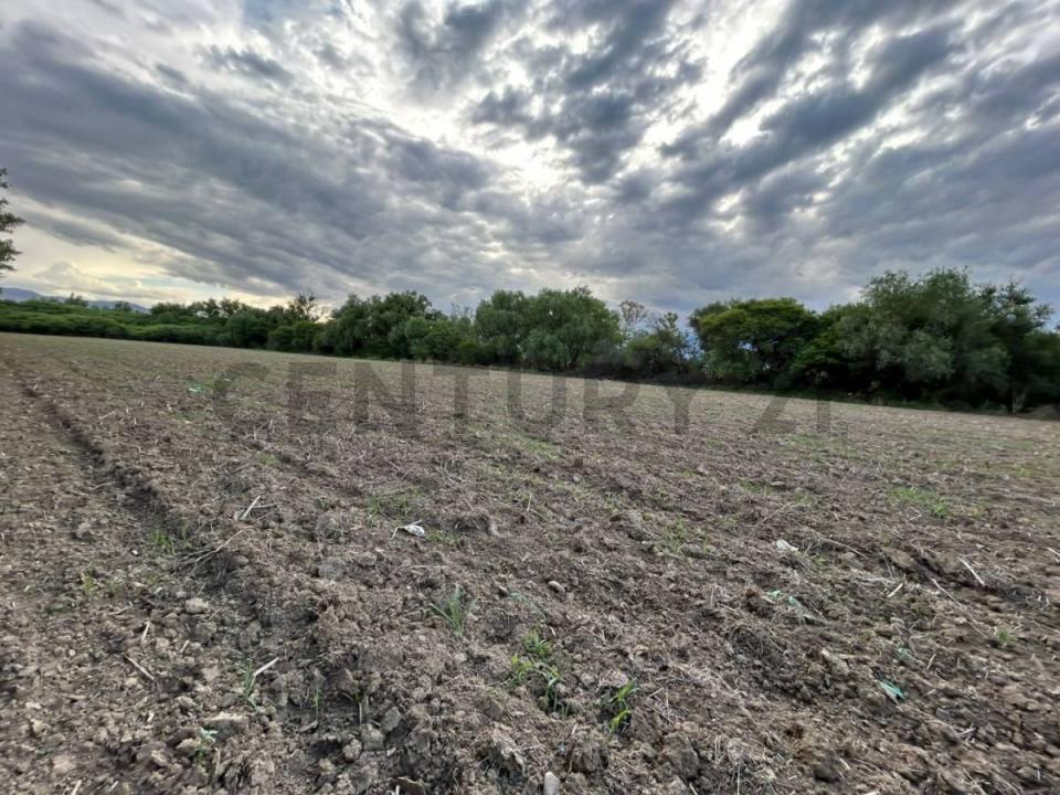 C/ sin nombre Atras del hotel San Javier , San Luis, Tarija 0000, Bolivia