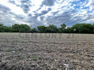 C/ sin nombre Atras del hotel San Javier , San Luis, Tarija 0000, Bolivia