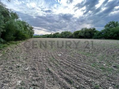 C/ sin nombre Atras del hotel San Javier , San Luis, Tarija 0000, Bolivia