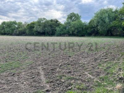 C/ sin nombre Atras del hotel San Javier , San Luis, Tarija 0000, Bolivia