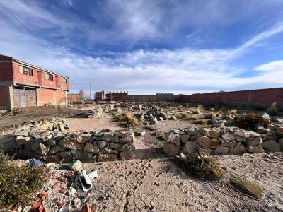 ex hacienda zocamani zona nor este 1, Este, Oruro 00001, Bolivia