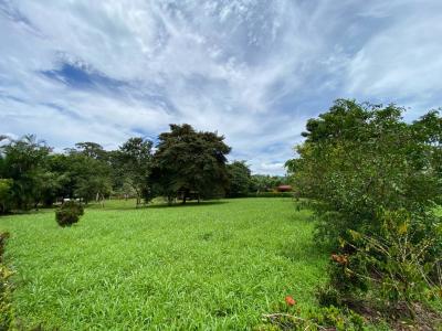 Peñas Blancas San Ramón, Alajuela 20213, Costa Rica
