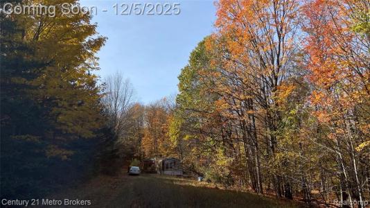 6705 N 45 1/2 Road, Manton, Michigan 49663, USA