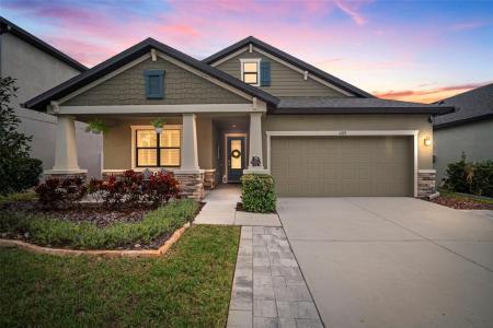 11223 Paddock Manor Avenue, Riverview, Florida 33569, USA