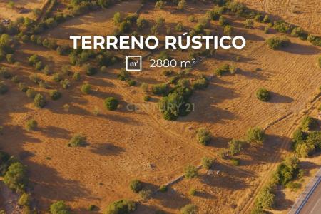 Olhão, Faro 8701-906, Portugal