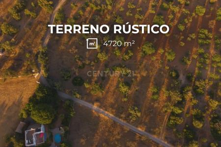 Olhão, Faro 8701-906, Portugal