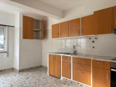 Alcobaça, Leiria 2460-035, Portugal