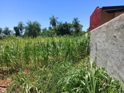 Calle Jacaranda sin numero, Areguá, Central 00001, Paraguay
