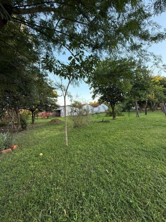 Tte. Chena Molinas , Caraguatay, Cordillera 2060, Le Paraguay