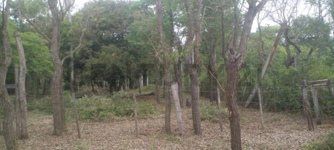 Arroyo Ytu , Caacupé, Cordillera 00001, 巴拉圭