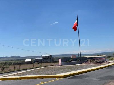 Genaro Codina, Zacatecas 98660, Messico