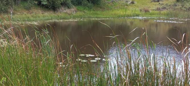 Bela Bela, Limpopo, South Africa