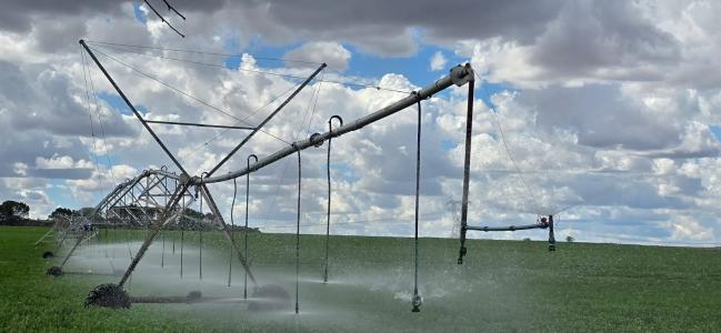 Koffiefontein, Free State, 南非