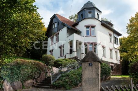 Ottweiler, Saarland 66564, Germany