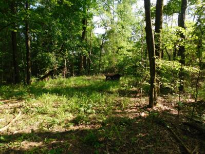 3812 Hwy. 25 South, Fulton, Mississippi 38843, Stati Uniti