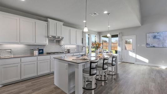 10381 Sunset Shore Drive, Grand Prairie, 得克萨斯州 76065, 美国