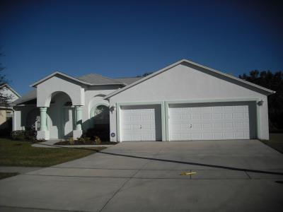 9724 MARY ROBIN DR, RIVERVIEW, Florida 33569