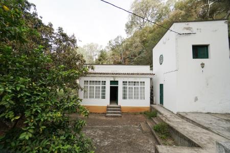 Las Palmas, Canarias 35338, Spain