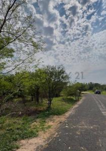 Cica casi Las Palmas , Mariano Roque Alonso, Central 00001, Paraguay