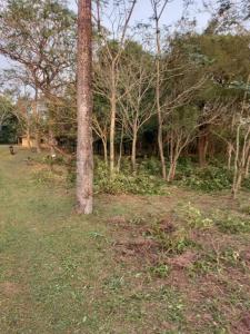 ALTOS COMPAÑIA YACARE , Altos, Cordillera 00001, Paraguay