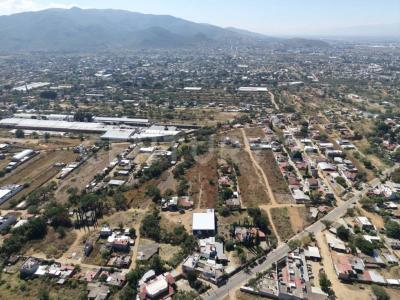Santa Lucia Del Camino, Oaxaca 71228, Mexico