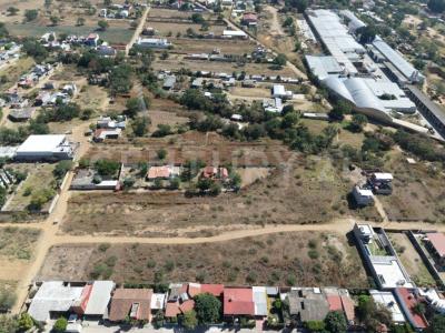 Santa Lucia Del Camino, Oaxaca 71228, Mexico
