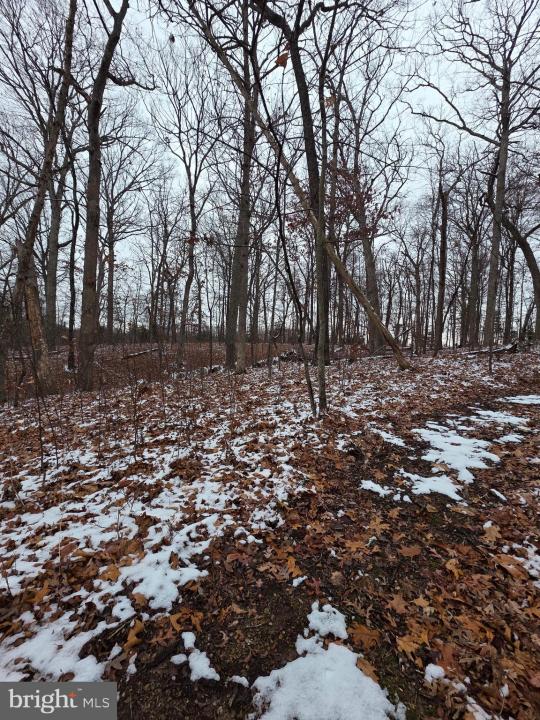 Huttle, Middletown, فرجينيا 22645, الولايات المتحدة
