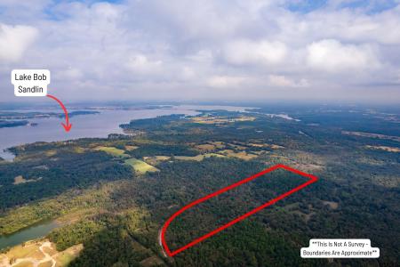 TBD CR 2332, Pittsburg, Texas 75686, États-Unis