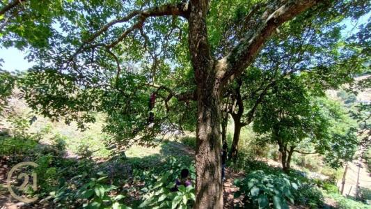 Antigua Guatemala, Sacatepéquez 00001, Guatemala