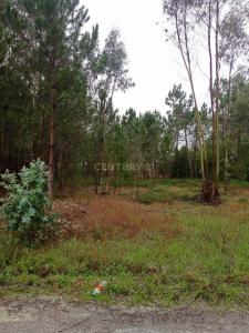 Marinha Grande, Leiria 2445-561, Portogallo