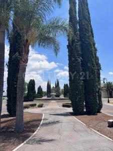 Paseo Real de San Patricio 904,, Jesús Maria, Aguascalientes 20900, Mexiko