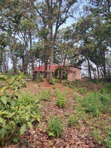 Camino a Yolosta, Atemajac de Brizuela 07 manzana A,, Atemajac De Brizuela, Jalisco 45790, Meksyk