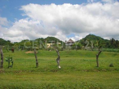 Bahía De Banderas, Nayarit 63732, Mexique