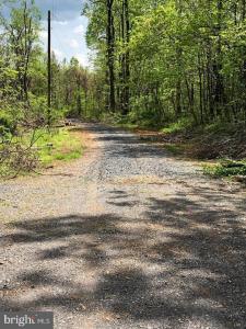 0 Old Orchard Road, Linden, Virginia 22642