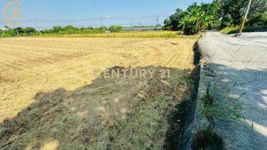 官田, Guantian Dist., Tainan 720, Taiwan