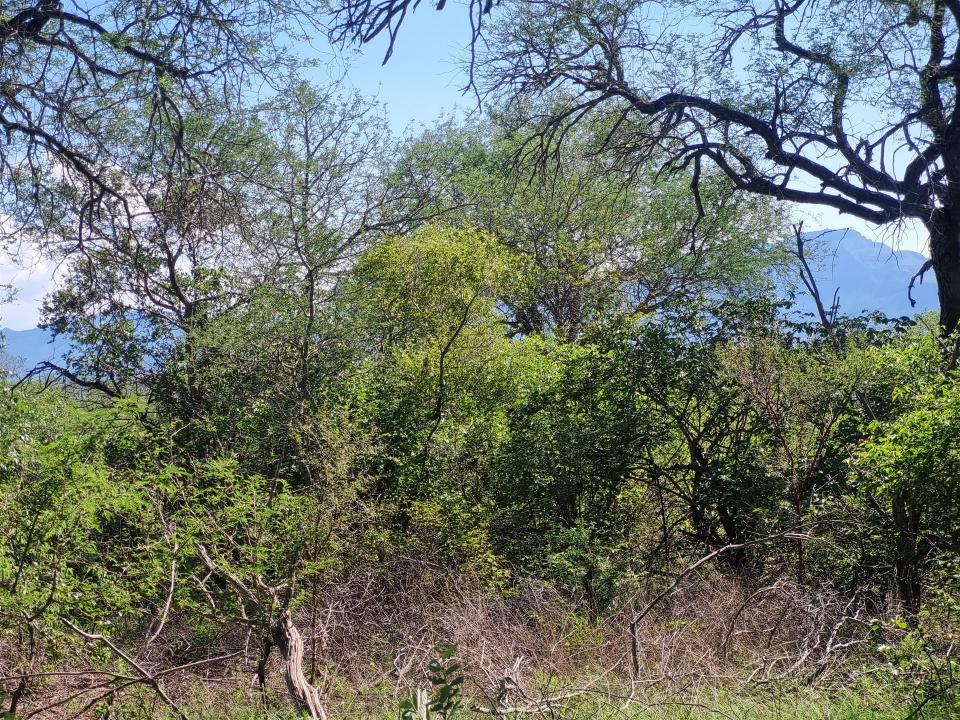 Hoedspruit, Limpopo, Sudafrica