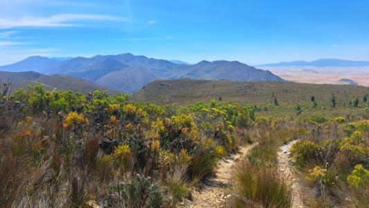 Caledon, Western Cape, South Africa