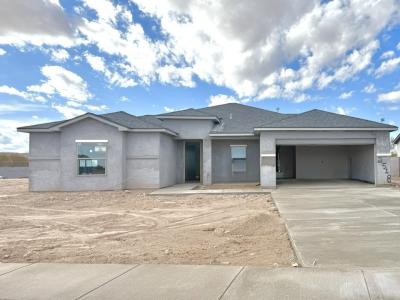 2518 Segovia Court, Carlsbad, NM 88220, USA