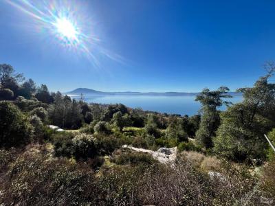 6319 Aileen Trail, Lucerne, 캘리포니아 95458, 미국