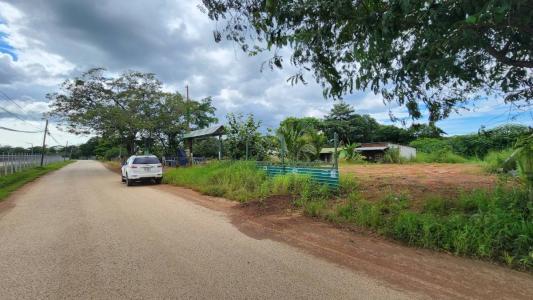 Tamarindo Santa Cruz, Guanacaste 50309, Costa Rica