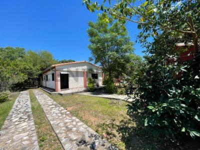 AVDA. NEUMANN -, Altos, Cordillera 00001, Paraguay