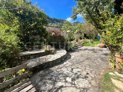 Clarin 7,, San Cristóbal De Las Casas, Chiapas 29264, Mexico