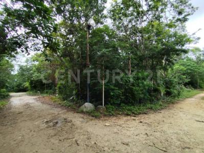 Calle flamboyanes, Prolongacion La Luna 4105,, Cancún/Benito Juárez, Quintana Roo 77500, Mexico