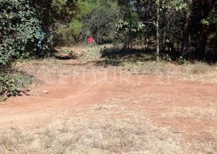 Lote 5 del Rancho de  Bermúdez, Comunidad de Bermúdez, Hidalgo. Fraccionamiento  Campestre 2da. Sección,, Huasca De Ocampo, Hidalgo 43500, Meksyk