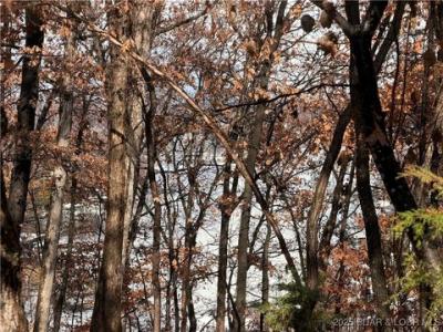 Lot 46 Carol Road, Four Seasons, Missouri 65049, USA