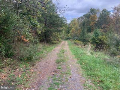 38 Eastview Drive, Augusta, WV 26704, USA