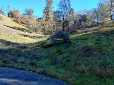 12288 Kenneth Court, Grass Valley, California 95949, Estados Unidos