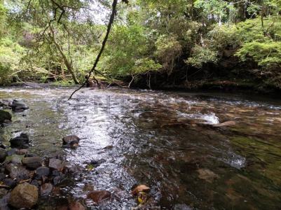 Cautín, Región De La Araucanía 00001, Chile