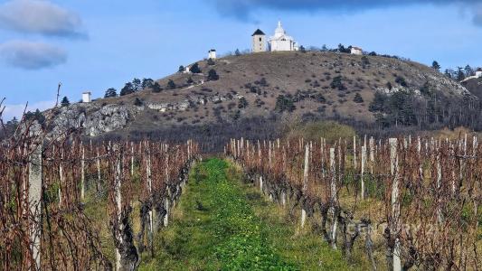 Mikulov, Břeclav 100 00, Чешская Республика